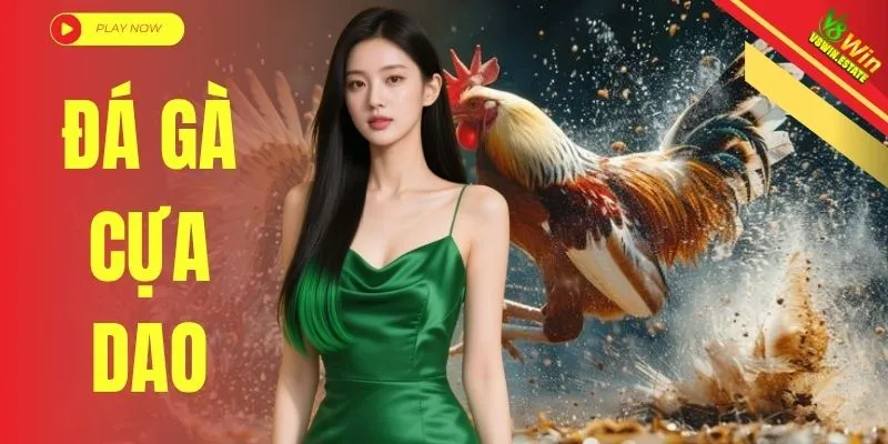 Đá Gà Cựa Dao - Trường Đấu Quốc Tế Theo Dõi Đòn Cước Rực Lửa 4 Đá Gà Cựa Dao - Trường Đấu Quốc Tế Theo Dõi Đòn Cước Rực Lửa