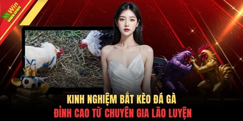 Đá Gà Cựa Dao - Trường Đấu Quốc Tế Theo Dõi Đòn Cước Rực Lửa 4 Kinh nghiệm bắt kèo đá gà đỉnh cao từ chuyên gia lão luyện