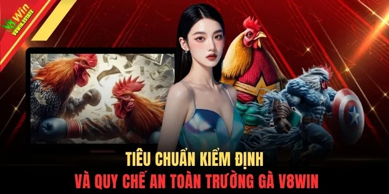 Đá Gà Cựa Dao - Trường Đấu Quốc Tế Theo Dõi Đòn Cước Rực Lửa 3 Tiêu chuẩn kiểm định và quy chế an toàn trường gà V8WIN